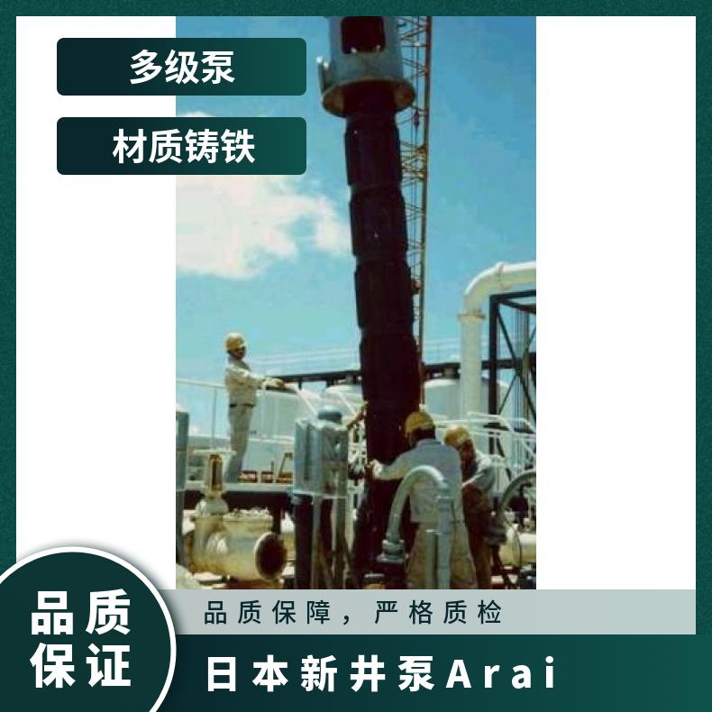 ARAI新井泵厂家 Arai Pump-VS型 铸铁 常温 潜水污水泵