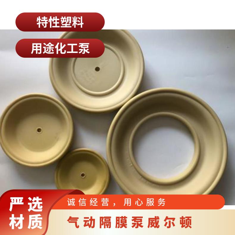 隔膜计量泵配件JMZ系列JXM膜片单向阀片泵头 特性 塑料