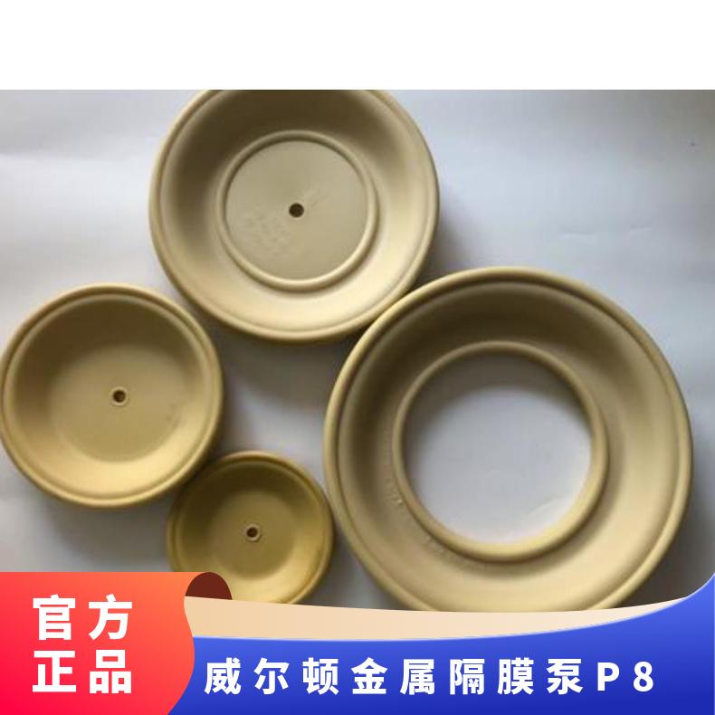 计量泵隔膜片JWM-A42/1(B)-60/180/0.5隔膜泵膜片