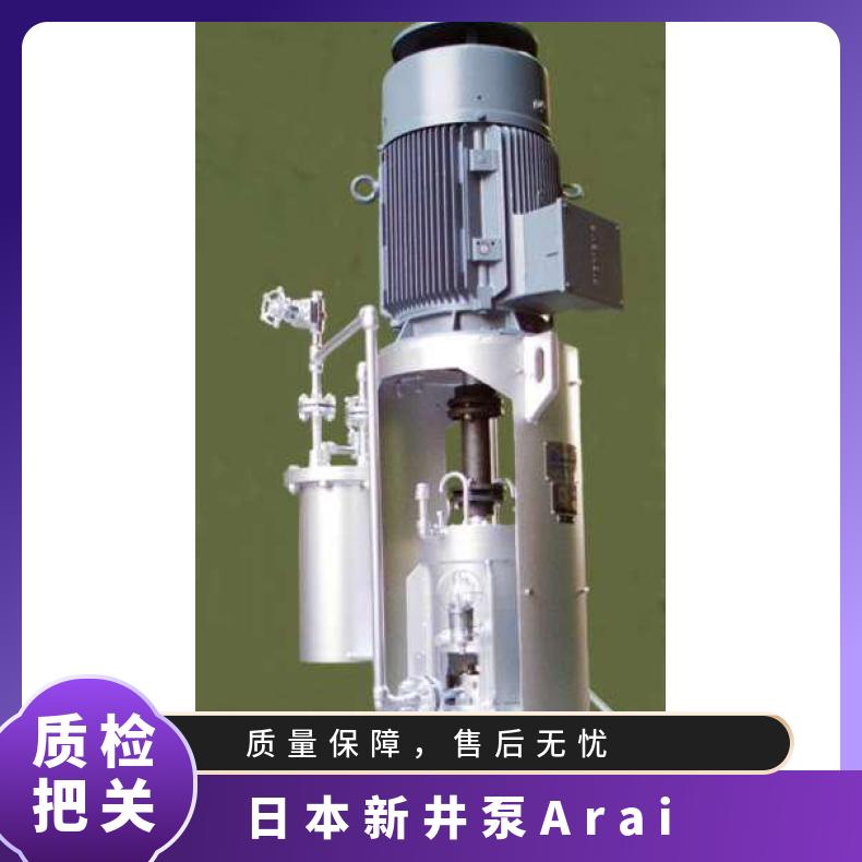 日本ARAI水泵 原装进口金属衬里 arai pump 铸铁 潜水污水泵