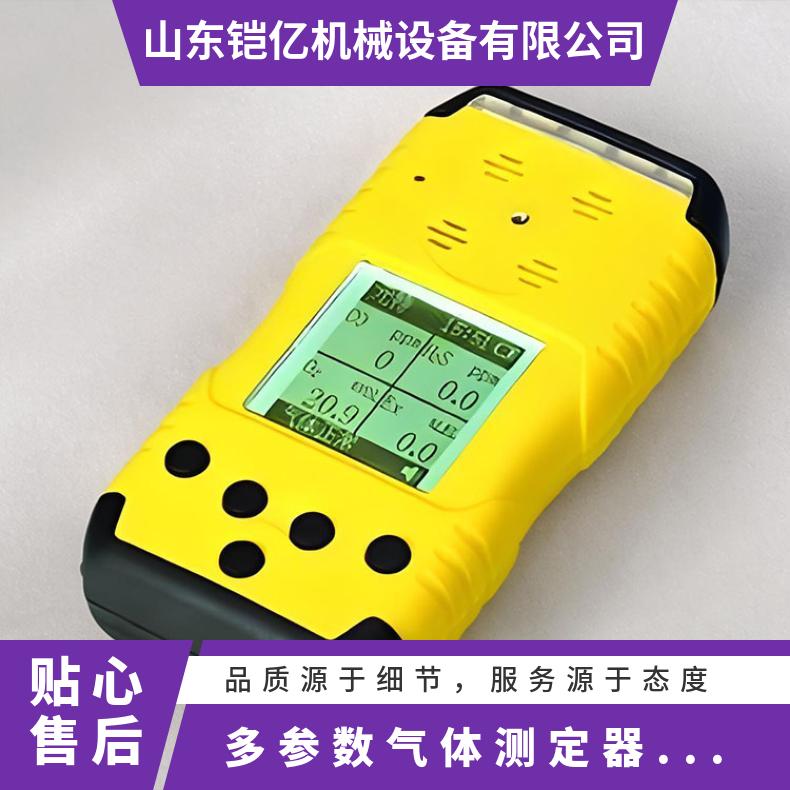 多参数气体测定器CD10 可数据存储工作时间>12h