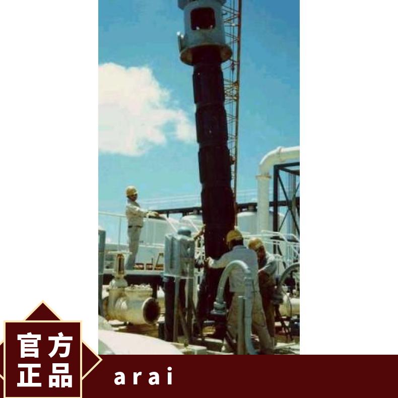 日本ARAI 新井泵Arai Pump-特殊型 潜水污水泵 常温 单级 铸铁