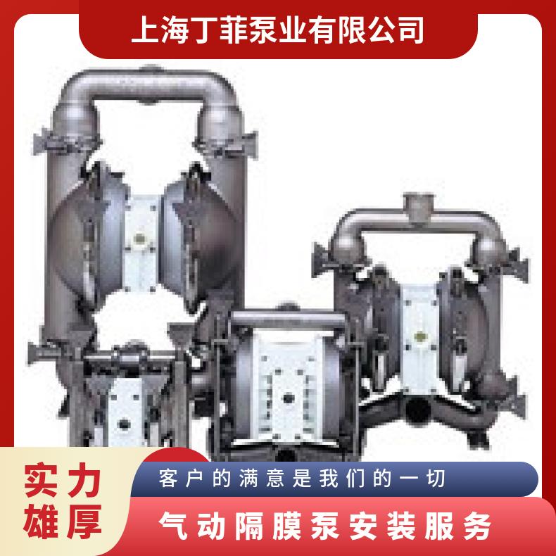 P1/AALLL/TNU/TF/ATF/0014G 气动隔膜泵安装服务 PX200/AAAAA