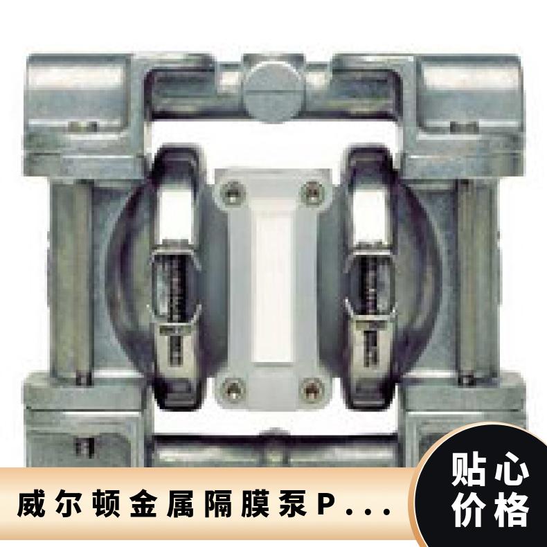 08-11108?? ?威尔顿wilden气动隔膜泵?? ?T8/AAAPB/NES/N