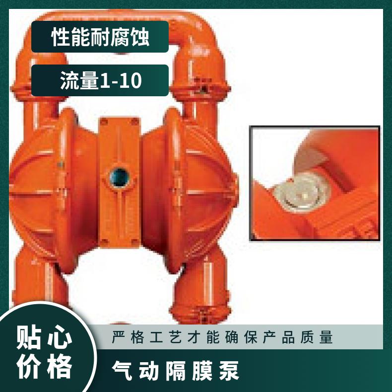 P200/AALLL/BNS/BN/ABN/0698 威尔顿金属隔膜泵PX800 08-1116