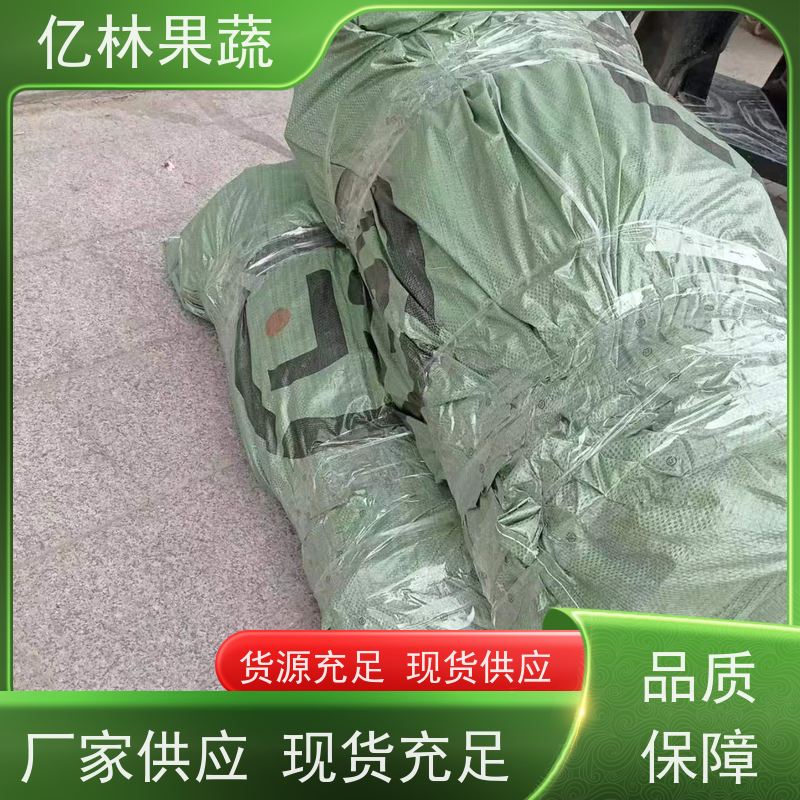 亿林苗木 油桃苗 园林绿化果树苗 抗寒能力强 果实饱满味道好