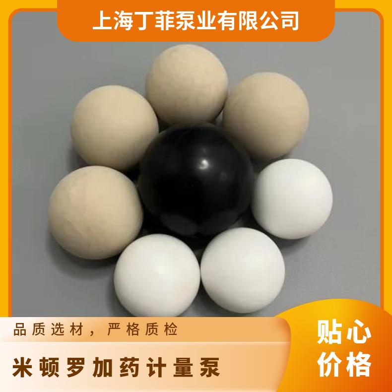 米顿罗计量泵单向阀GB100012001500PVC塑料止回阀DN25