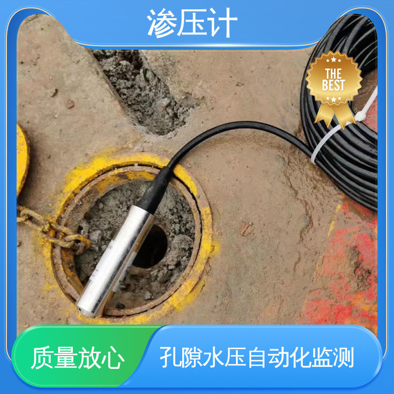 堤防水工建筑物 硅压阻式渗压计 内部孔隙水压 长期在线监测