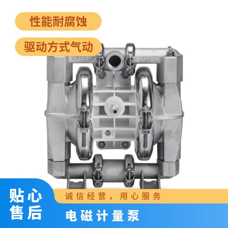 i易威奇计量泵隔膜片LK-45VC-02/VH-VS- Wilden威尔顿 1-10 塑料