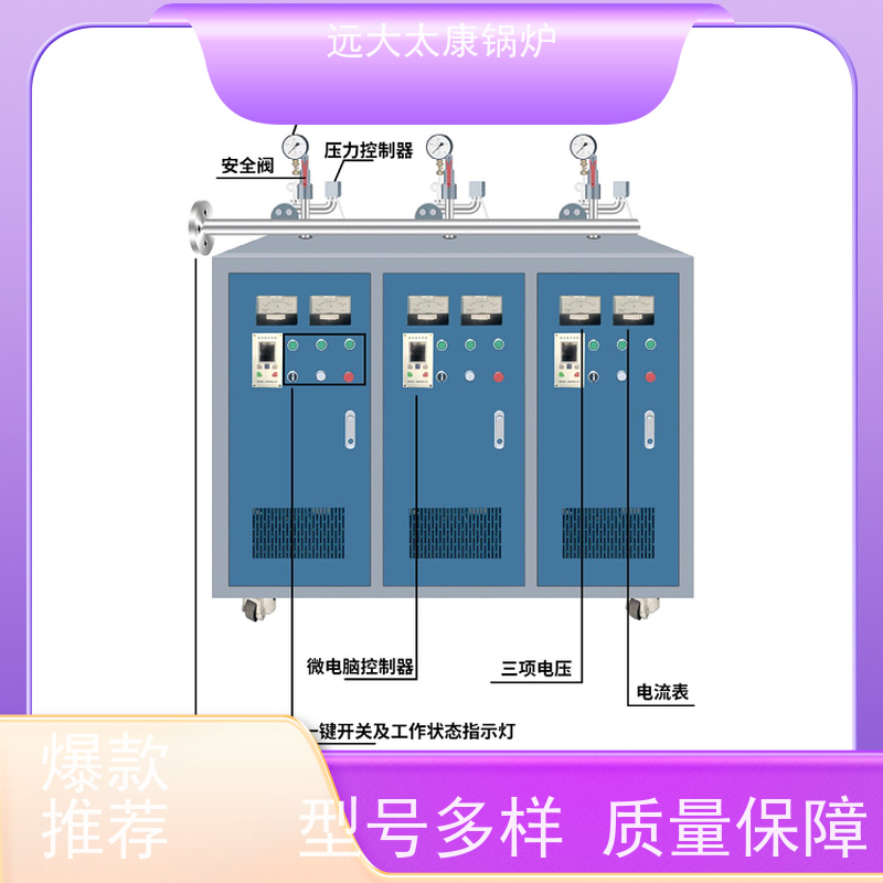 18KW 熟食竹笋加工 容水量＜30L 免报检 电阻蒸汽发生器