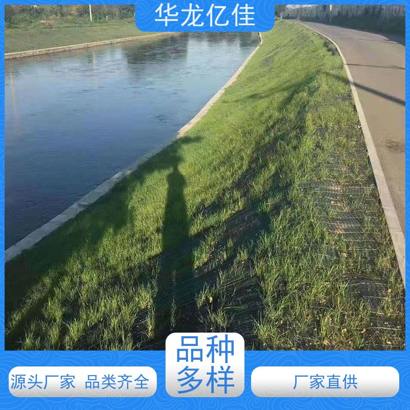 销售 河道护坡毯 规格多样 矿山修复 颜色金黄色 耐腐蚀