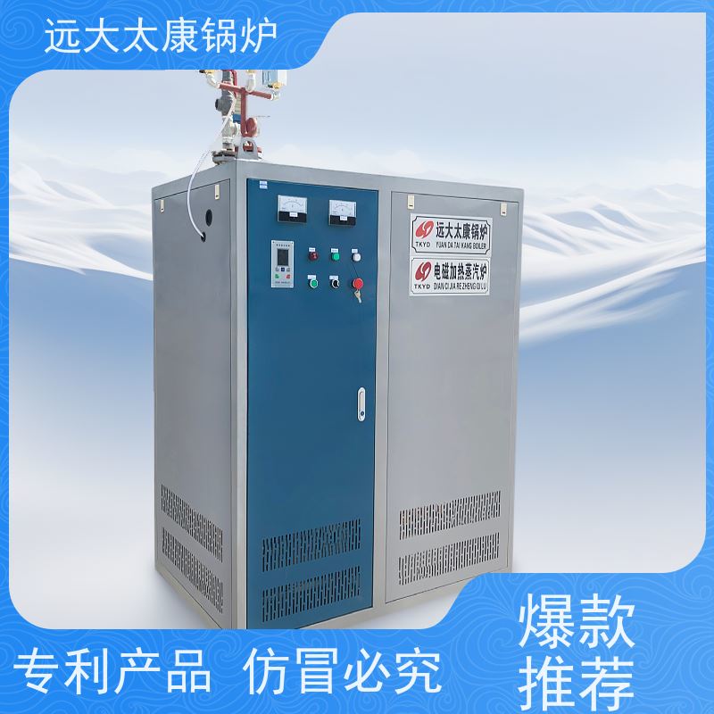 36KW 泡沫板加工配套 电加热蒸汽发生器 容水量＜30L 免报检