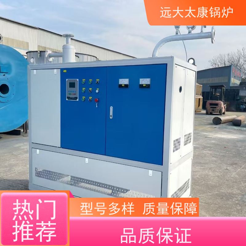 小型卧式 远大太康锅炉 板材烘干房加温 运行稳定 不易结焦 电导热油炉