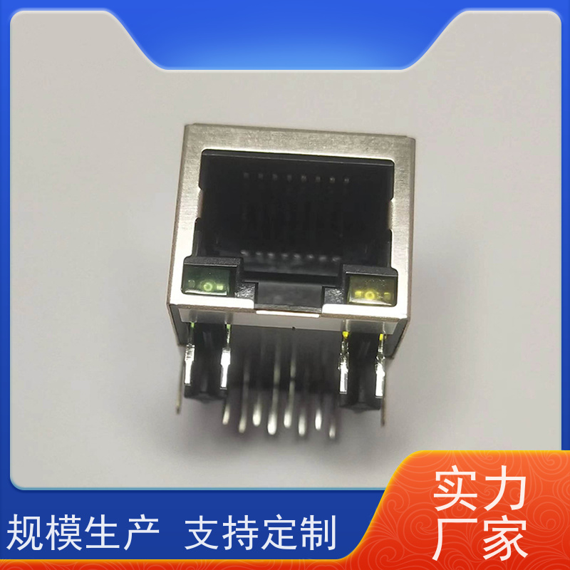 RJ45接口 RA19013H02GA型号 百兆网口 插座直插 网络连接器