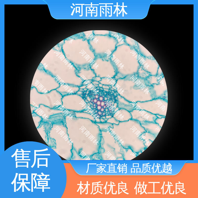 雨林 教学切片 一对一质检 可提供材料 个性化定做