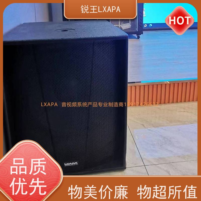 锐王LXAPA ktv音响设备 12寸线阵音箱 人声还原 校园音柱