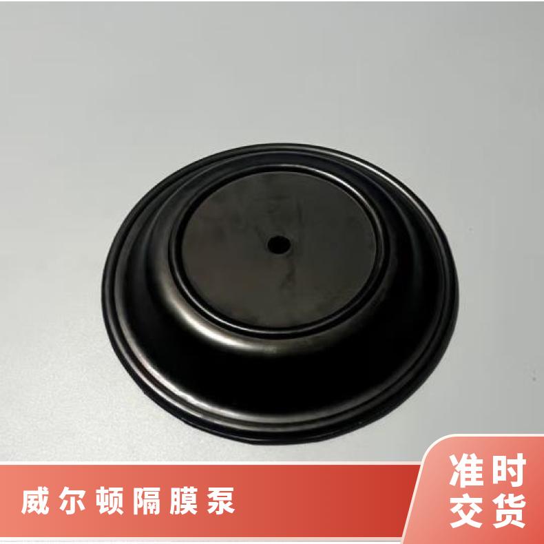 米顿罗计量泵配件GM系列偏心轮轴承涡轮蜗杆单向阀膜片组件