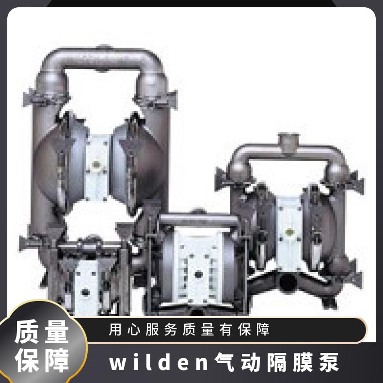 XPX1/AAAAA/TEU/TF/STF WILDEN威尔顿气动隔膜泵 P1/AAPPP/BN
