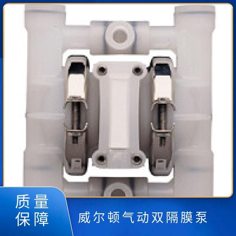 XPX1500/SSAAA/FSS/TF/FS 威尔顿气动双隔膜泵 PX800/AAAAA/T