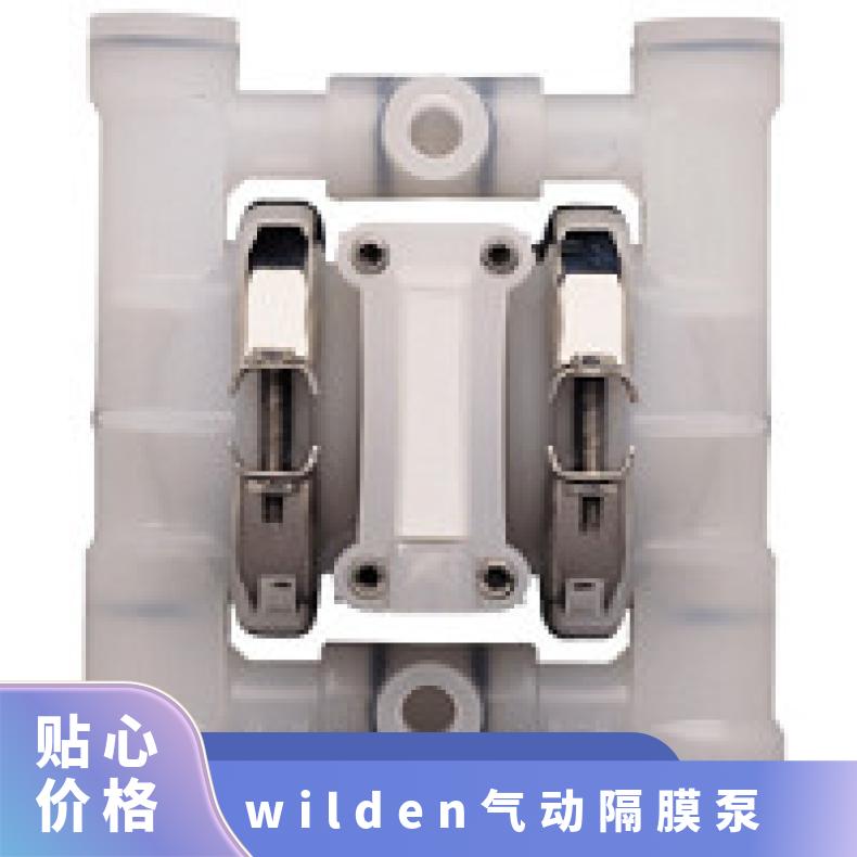 T15/AAAPB/NES/NE//0030 美国威尔顿FDA系列卫生级输送泵 P