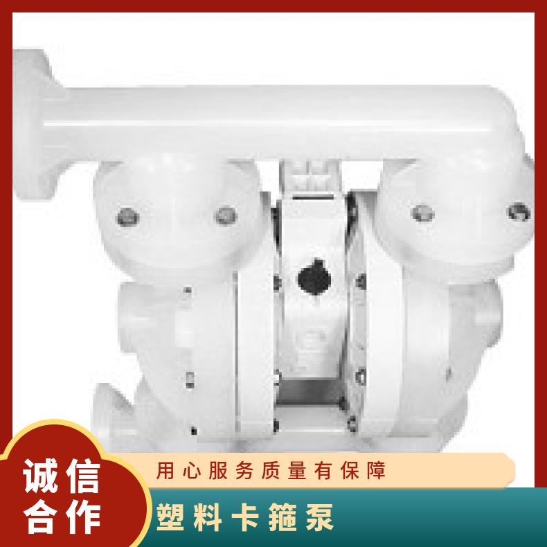 P.025/KZPPP/TEL/TF/KTV 威尔顿塑料泵PX800 15-10585?? ?