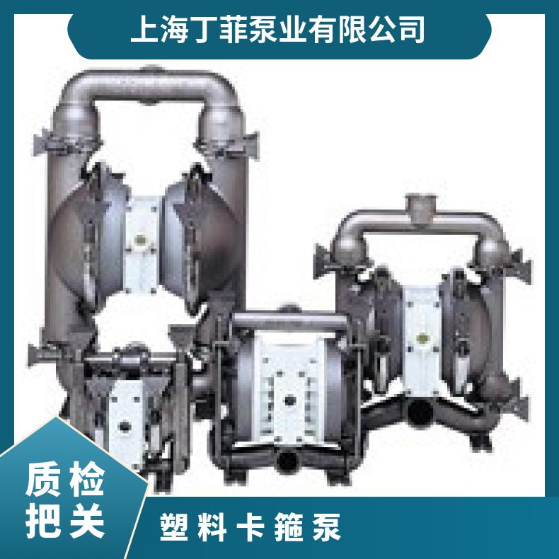 XA200P/AAJJJ/TNU/TF/ATF/0766 进口气动隔膜泵隔膜片 08-113