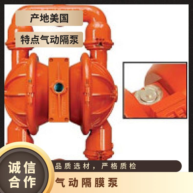 P8/AAAPP/WFS/WF//0014 威尔顿塑料隔膜泵P800 XP2/HHJJJ/T