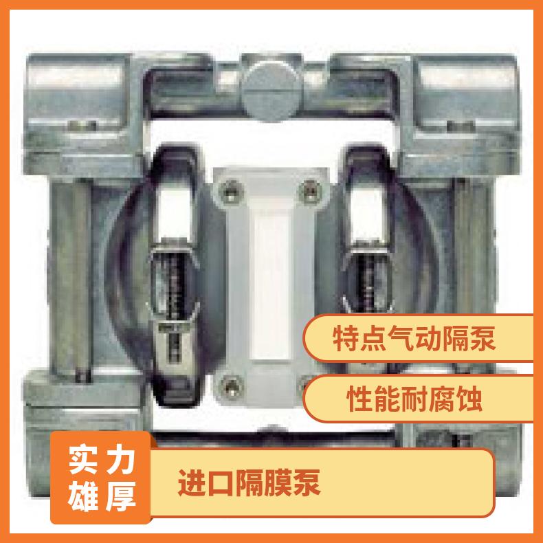 PX8/WWAAA/WFS/WF//0014 进口隔膜泵 800/PKPPP/TNU/TF/P