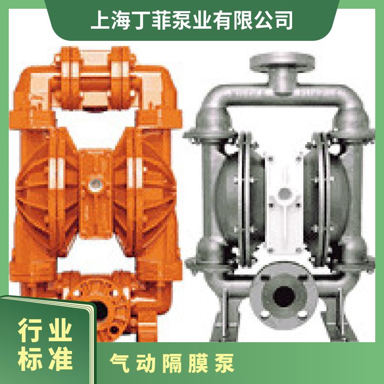 XP200/SSJJJ/TEU/TF/STF/0678 威尔顿金属隔膜泵PX20 .025/