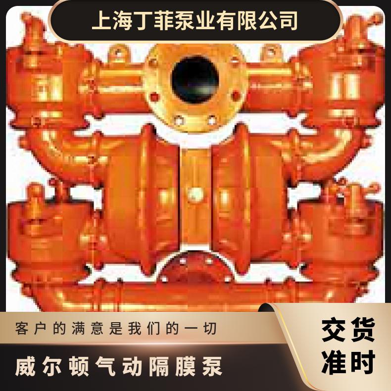 XPX1500/SSSSS/BNS/BN//0320 威尔顿气动隔膜泵 15-12038?