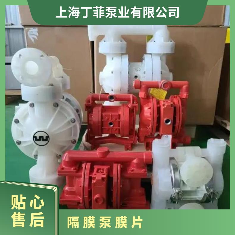 WILDEN威尔顿隔膜泵1寸T2P2P200橡胶膜片02-1010-51/52， 扬程 5-