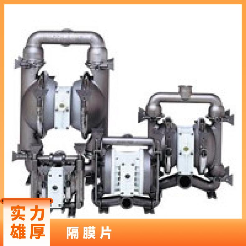 02-11944?? ?威尔顿wilden气动隔膜泵?? ?XPX200/SSAAA/V