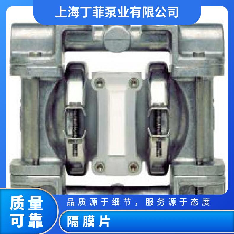 08-11049?? ?威尔顿wilden气动隔膜泵?? ?T8/AAAAB/WFS/T