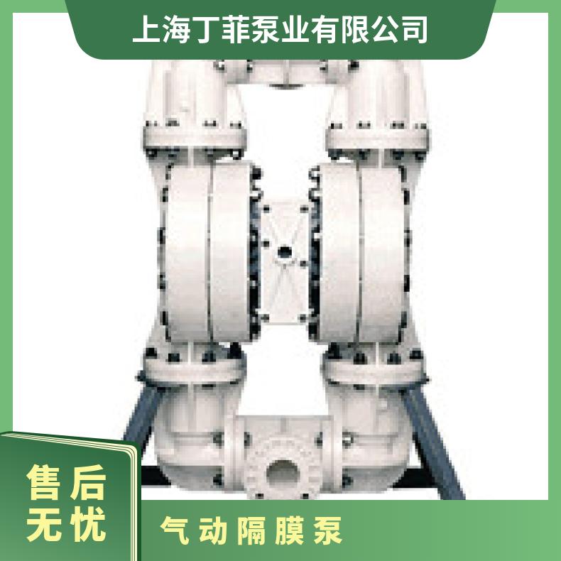 P1/AAPPP/FSS/FS/SFS/0014 威尔顿P.025系列金属气动隔膜泵 0