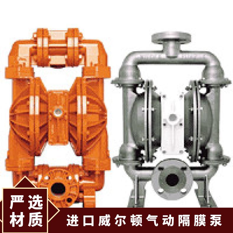 PX800/SSAAA/TNU/TF/STF/0504 进口威尔顿气动隔膜泵 04-1230