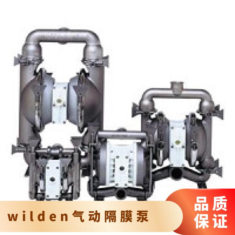 08-12393?? ?威尔顿wilden气动隔膜泵?? ?T8/WWAPB/NES/N