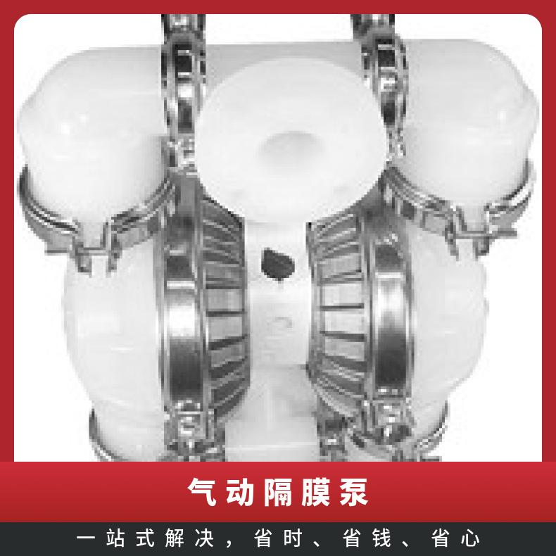 XPX200/AAAAA/VTS/VT/AVT/0014 威尔顿铝合金气动泵 20/WW
