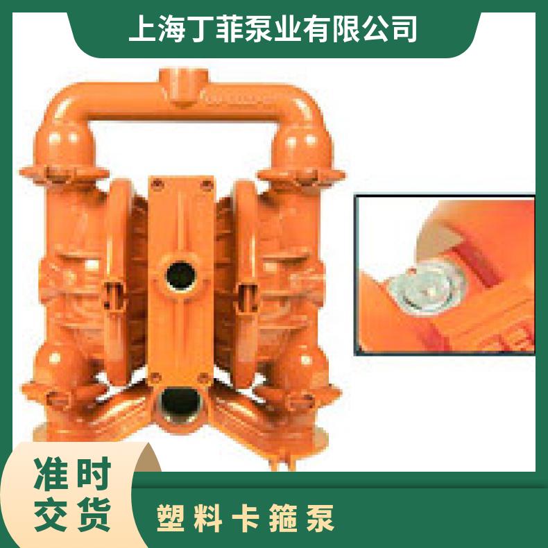 PX8/AAAAA/TNU/TF/ATF/0320 进口气动隔膜泵隔膜片 02-11884