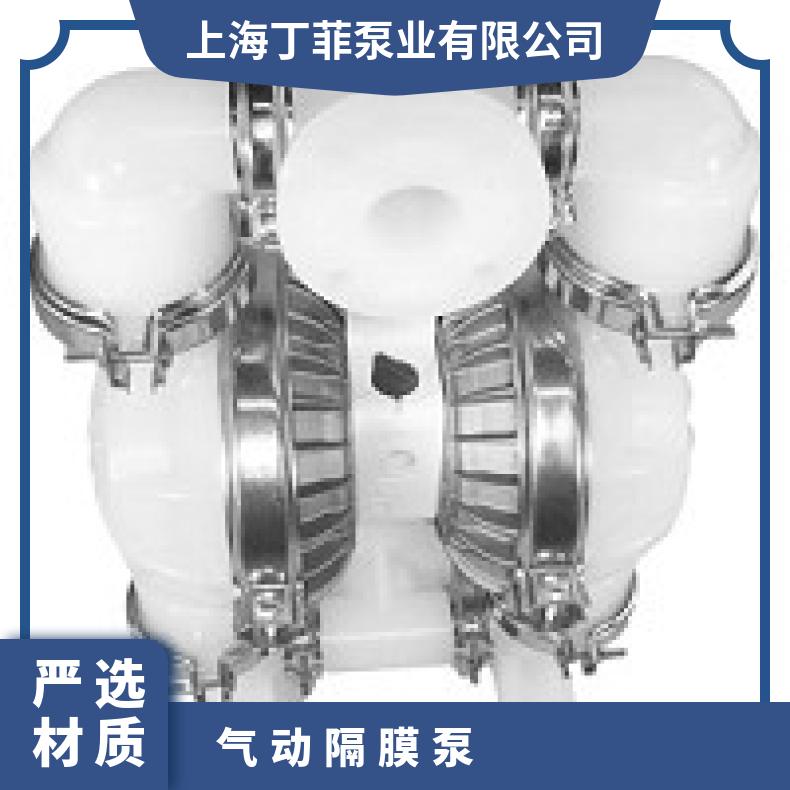 P8/PKCPP/TNU/EP/PTV 威尔顿T2系列金属气动隔膜泵 01-10893