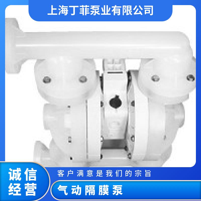08-11138?? ?威尔顿wilden气动隔膜泵?? ?T8/AAAPB/VTS/V