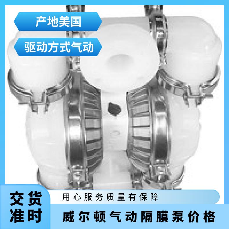 P.025/AMPPP/BNS/TF/ABN/0014 威尔顿气动隔膜泵 P1/SSPP