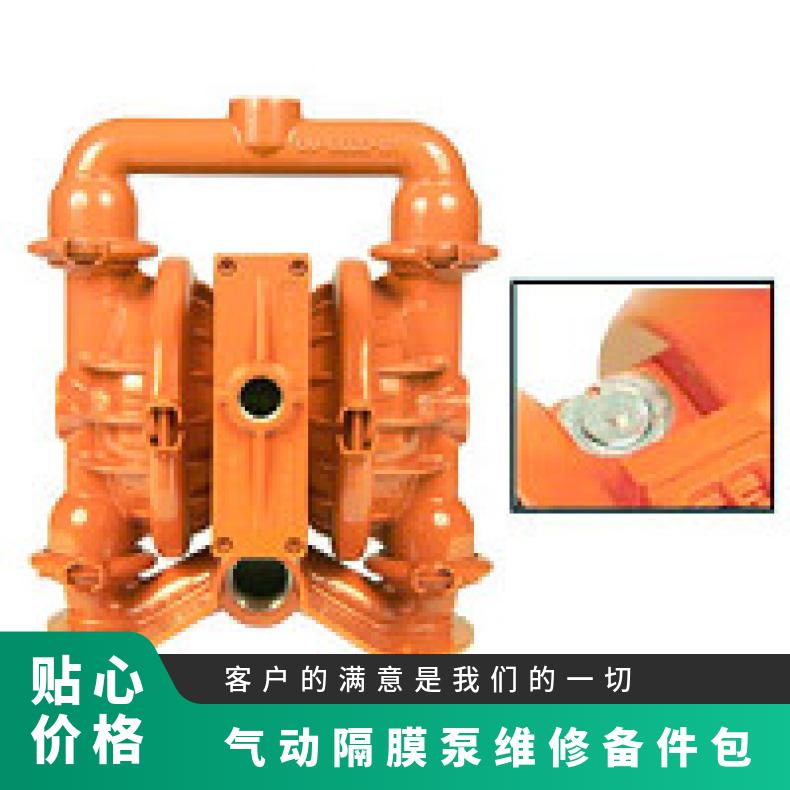XPX1/AAAAA/XBS/BN/ABN/0390 气动隔膜泵维修备件包 TZ4/AAMA
