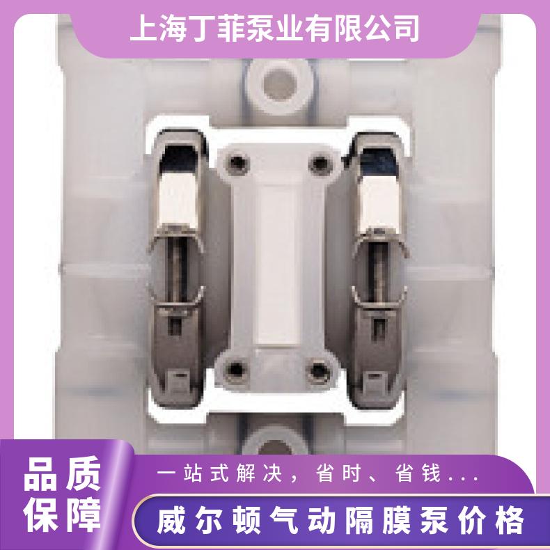 H800/SSSAA/WFS/WF/SWF/0504 威尔顿气动隔膜泵 PX/PK