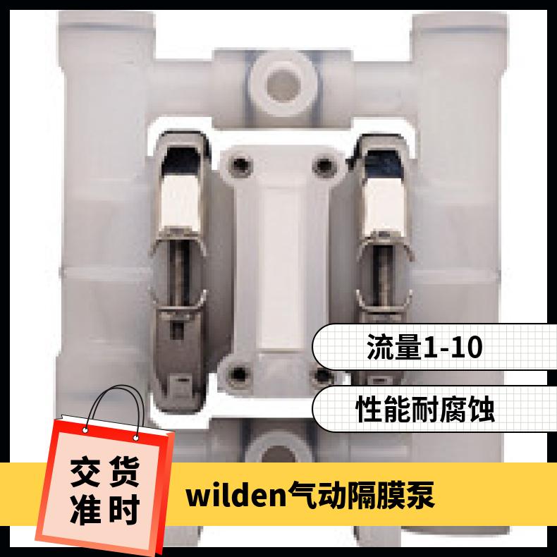 15-10206?? ?威尔顿wilden气动隔膜泵?? ?T/AAAAB/BNU/