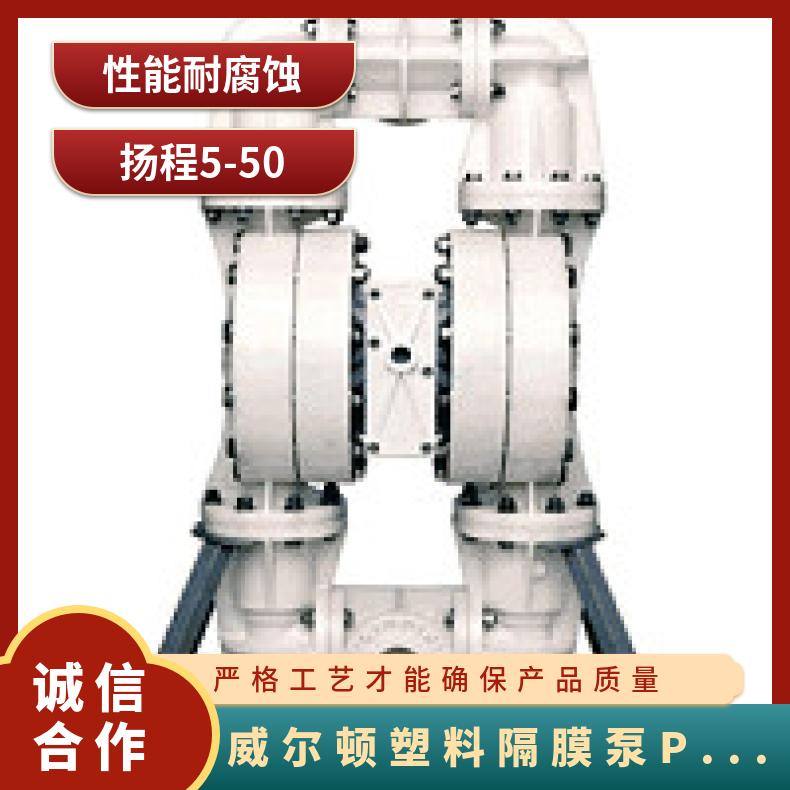 T15/WWWPB/NES/NE//0014 威尔顿塑料隔膜泵P200 04-11873?