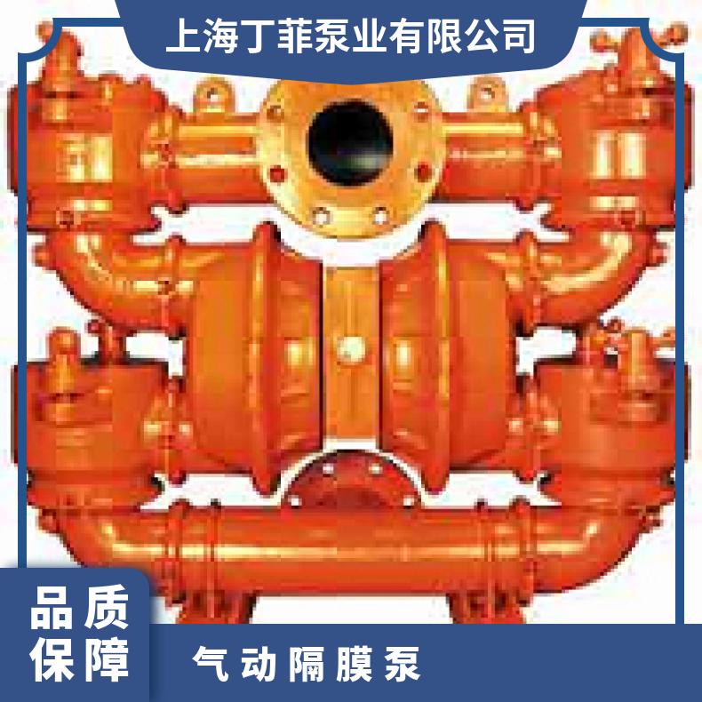 P.025/AMPPP/BNS/TF/ABN 威尔顿P8系列金属气动隔膜泵 15-120