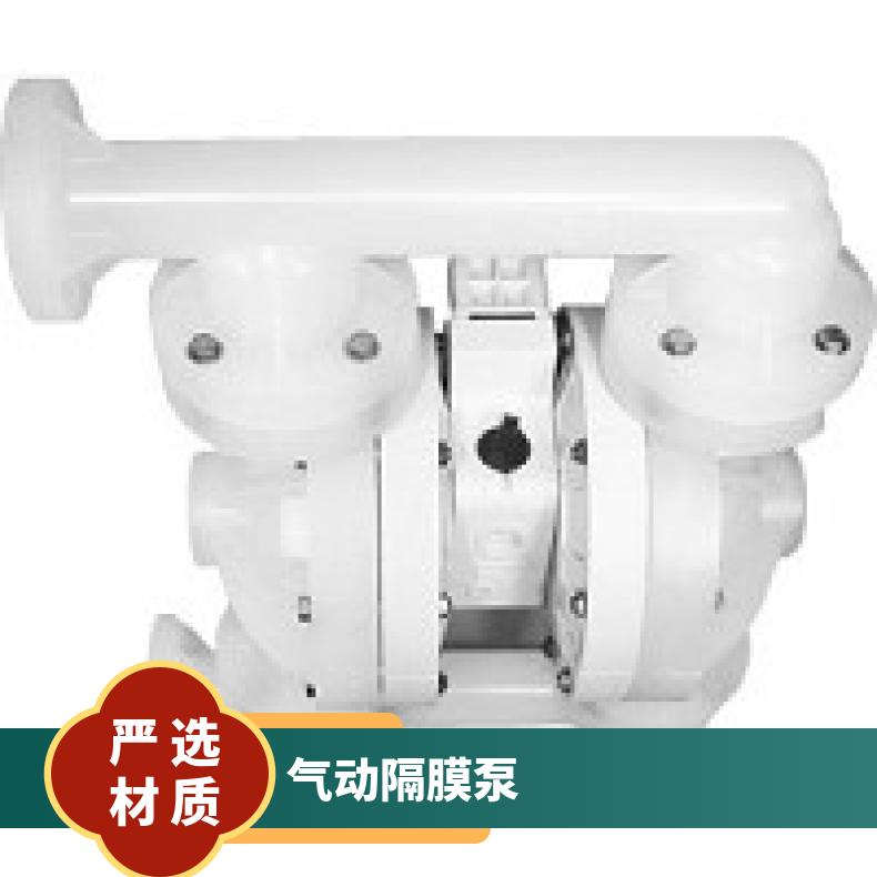 T8/AAAPB/EPU/EP//0014 威尔顿P.025系列金属气动隔膜泵 XP