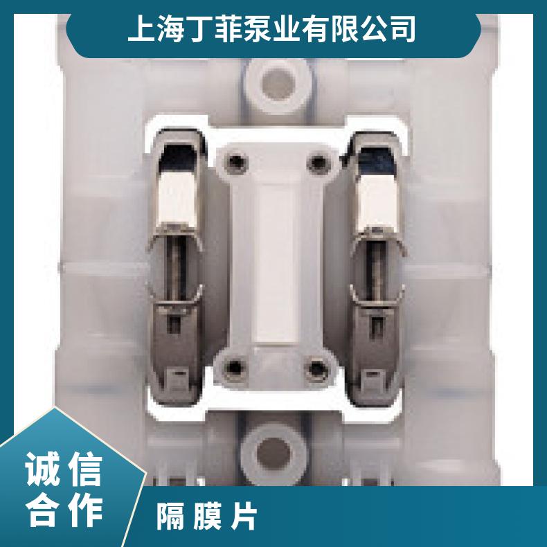 01-10894?? ?威尔顿wilden气动隔膜泵?? ?XPX1/SSAAA/VTS