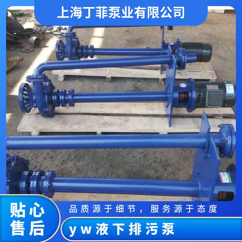 250YW600-1237 yw液下排污泵*** 不阻塞 卧式 电动 单级 10m~60m