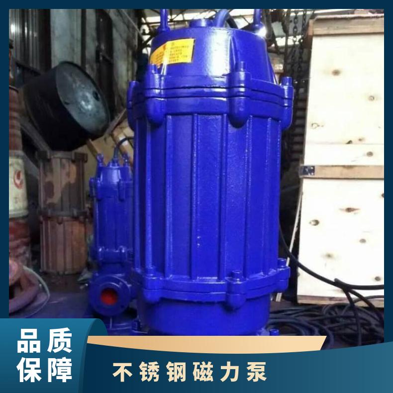 WQR65-37133 不锈钢高温潜水 全保排污泵 不阻塞 10m~60m